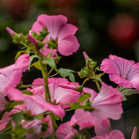 �������