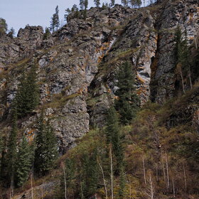 ������ ����. �������