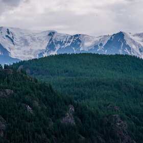 ������ ����. ���������� �� �����������