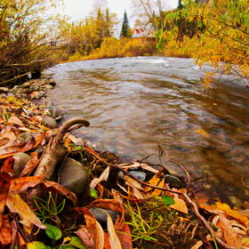 ������ ����. ���������� �� �����������