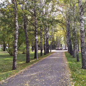 ����� ����. �������