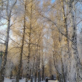 Лучшие фото. ПРИРОДА