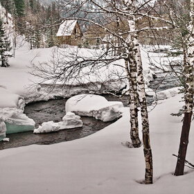 ����� ����. ���������� �� �����������