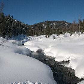 ����� ����. ���������� �� �����������