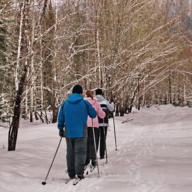 ����� ����. ���������� �� �����������