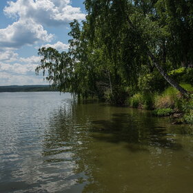 ������ ����. �������