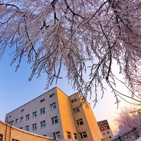 ����. ������. �������