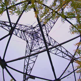 ������ ����. ���������� �� �����������