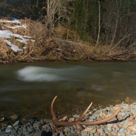 ������ ����. �������