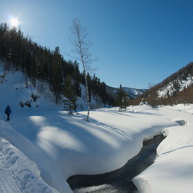 ����� ����. 