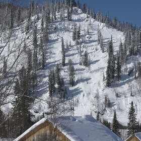 ����� ����. ���������� �� �����������