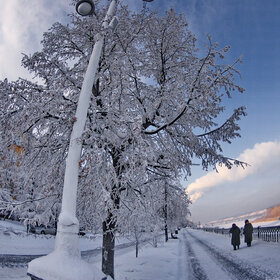 ����. ������. �������