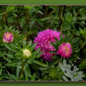 ������ ����. �������