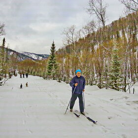 ���������� �� �����������