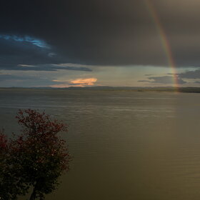 ����. ������. �������