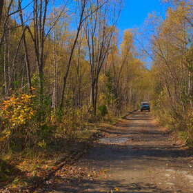 ������ ����. ���������� �� �����������