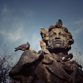 Александр Сергеевич и голуби