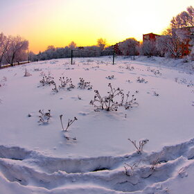 ����. ������. �������