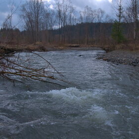 ����. ������. �������