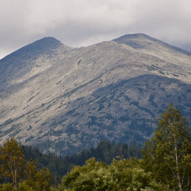 ����� ����. ���������� �� �����������