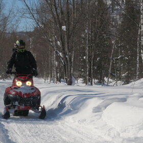 ����� ����. 