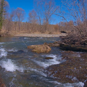 ������ ����. �������