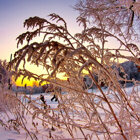 ������ ����. �������