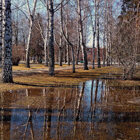 ����� ����. �������