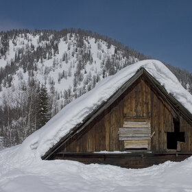 ������ ����. ���������� �� �����������