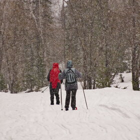 ����� ����. ���������� �� �����������