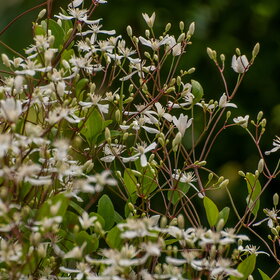 ����. ������. �������