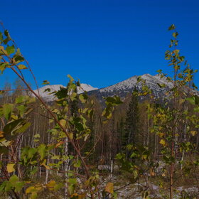 ������ ����. ���������� �� �����������