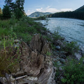 ����. ���� �� �����������. ���������� �� �����������