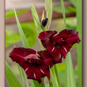 �������