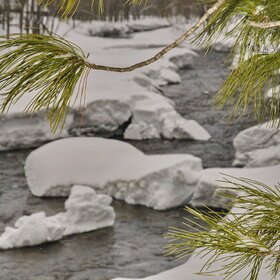 ����� ����. �����������