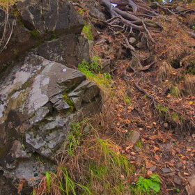 ������ ����. ���������� �� �����������