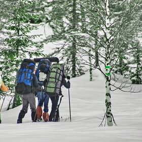 ���������� �� �����������