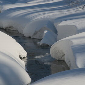 ������ ����. ���������� �� �����������