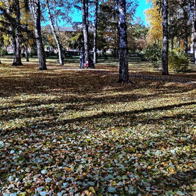 Новые фотографии. ПРИРОДА