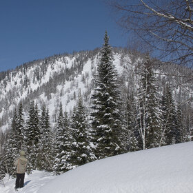 ����� ����. �����������