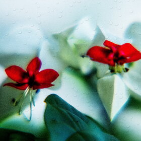 Новые фотографии. ПРИРОДА