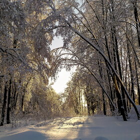 ������ ����. �������