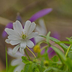 ����. ������. �������