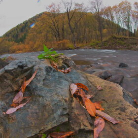 ������ ����. ���������� �� �����������