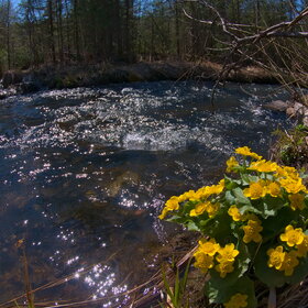 ����. ������. �������