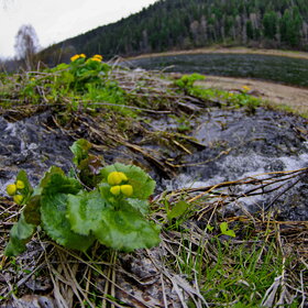 �������