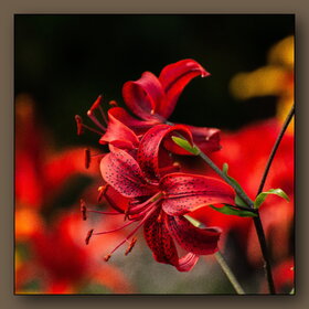 Новые фотографии. ПРИРОДА