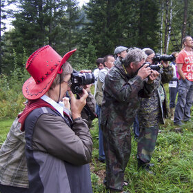 ������ ����. ���������� �� �����������