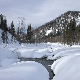 ����� ����. ���������� �� �����������