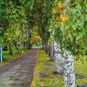 Лучшие фото. Природа (0)